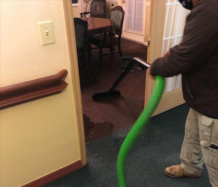 Technician using extraction wand to remove standing water from carpeting