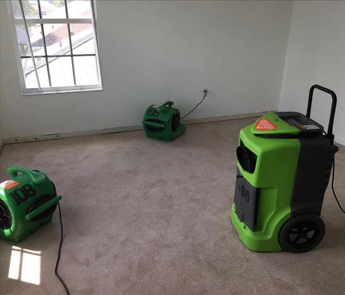 Dehumidifier and air movers in a carpeted room